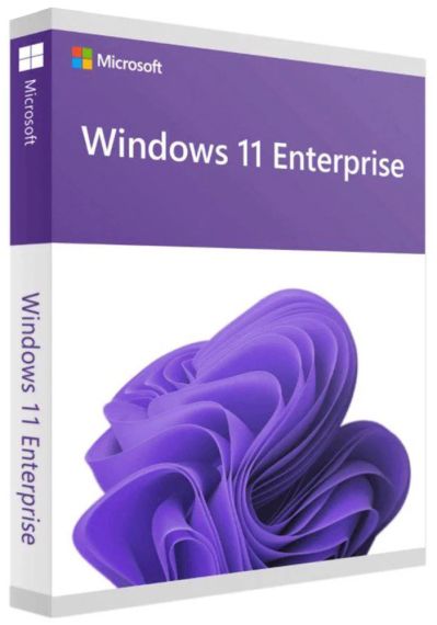 Windows 11 Enterprise 1 PC Lifetime Validity